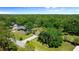 Aerial view featuring a home with mature trees, a long driveway, and lush lawns at 12503 Bronco Dr, Tampa, FL 33626