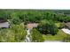 Aerial view showcasing a private property surrounded by lush greenery and mature trees at 12503 Bronco Dr, Tampa, FL 33626
