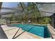 Relaxing pool surrounded by a screened-in enclosure, and lush trees at 12503 Bronco Dr, Tampa, FL 33626