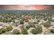 Aerial view showcasing the neighborhood with mature trees and proximity to community amenities at 1416 Murray Ave, Clearwater, FL 33755