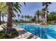 Resort-style pool surrounded by lush palm trees and comfortable lounge chairs for ultimate relaxation at 14975 Renaissance Ave, Odessa, FL 33556