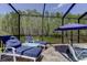 Inviting screened-in patio features a blue cushioned lounge set, perfect for relaxation with serene wooded views at 14975 Renaissance Ave, Odessa, FL 33556