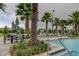 Resort-style community pool with palm trees, lounge chairs, and lush landscaping for a relaxing oasis at 14975 Renaissance Ave, Odessa, FL 33556