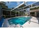Inviting screened-in pool surrounded by lush greenery creates a serene backyard escape at 1551 Mcauliffe Ln, Palm Harbor, FL 34683