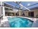 Enjoy the sun and privacy in this refreshing screened-in pool and lanai area at 1551 Mcauliffe Ln, Palm Harbor, FL 34683