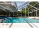 Relaxing screened-in pool offers privacy and a tranquil retreat for swimming and lounging at 1551 Mcauliffe Ln, Palm Harbor, FL 34683