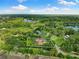 Aerial view of a luxurious house in a lush green neighborhood at 17347 Linda Vista Cir, Lutz, FL 33548