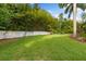 Lush backyard featuring manicured lawn, white fence, and privacy bamboo at 17347 Linda Vista Cir, Lutz, FL 33548