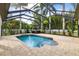 Inviting pool with spa, surrounded by lush landscaping and a screened enclosure for year-round enjoyment at 17347 Linda Vista Cir, Lutz, FL 33548