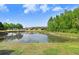 Scenic backyard view of a tranquil pond reflecting the blue sky and lush greenery at 19281 Stone Hedge Dr, Tampa, FL 33647