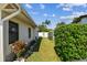 Well-maintained side yard with lush green bushes at 254 Timberview Dr, Safety Harbor, FL 34695