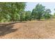 Expansive lot with mature trees, providing a private and serene setting at 34211 Blanton Rd, Dade City, FL 33523