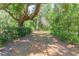 Natural setting provides tranquil privacy amid a canopy of mature trees and lush vegetation at 34211 Blanton Rd, Dade City, FL 33523