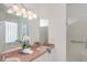 Well-lit bathroom with double vanity, glass shower, soaking tub, and stylish fixtures creating a serene space at 3964 Silk Oak Ln, Palm Harbor, FL 34685