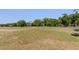 Expansive view of the golf course with mature trees and clear blue sky at 3964 Silk Oak Ln, Palm Harbor, FL 34685