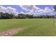 Expansive community soccer field with well-maintained grass and goals ready for a friendly match at 3964 Silk Oak Ln, Palm Harbor, FL 34685