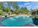 A stunning backyard pool with lush landscaping and mature trees offering a serene and private oasis for relaxation and recreation at 402 Merlin Ct, Brandon, FL 33510