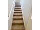 Carpeted staircase leading to the upper level of the home at 4456 Globe Thistle Dr, Tampa, FL 33619