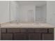 Bathroom with double sinks and dark cabinets beneath a large mirror reflecting an open doorway at 10940 Trailing Vine Dr, Tampa, FL 33610