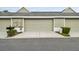 Home garage with driveway, mailbox, and manicured bushes at 11541 Fountainhead Dr, Tampa, FL 33626