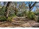 Lush, wooded backyard with shed and lots of potential for outdoor enjoyment at 13015 Elm St, Odessa, FL 33556