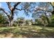 Spacious lawn in front of home; lush landscape with palms, trees and shrubs at 13015 Elm St, Odessa, FL 33556