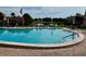 A tranquil community pool with plenty of lounge chairs is surrounded by lush greenery and a view of the lake at 225 Country Club Dr # A207, Largo, FL 33771