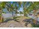 Large fenced backyard with palm trees offering shade and privacy at 3300 Jackson N St, St Petersburg, FL 33704