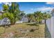 Large grassy backyard featuring lush tropical landscaping and a full privacy fence at 3300 Jackson N St, St Petersburg, FL 33704
