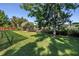 Well-manicured backyard features a mature tree providing great shade and a view of the lake at 3629 Lake Breeze Dr, Land O Lakes, FL 34639