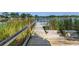 Dock with a bench overlooking a serene lake surrounded by tall reeds and lush trees at 3629 Lake Breeze Dr, Land O Lakes, FL 34639