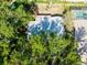 Aerial view of the home showing the roof, mature trees, and surrounding neighborhood at 4442 Summer Oak Dr, Tampa, FL 33618