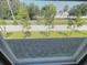 Backyard view from the window with trees, green lawn and a white fence surrounding the property at 4461 Globe Thistle Dr, Tampa, FL 33619