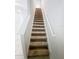Carpeted staircase with white railings leading to the upper level of the home at 4461 Globe Thistle Dr, Tampa, FL 33619