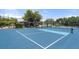 Outdoor pickleball court with new net and fenced-in area at 6511 Georgia Ave, Bradenton, FL 34207