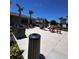 Community outdoor grilling area features modern grill, seating, and palm trees for a relaxed experience at 6942 Ripple Pond Loop, Zephyrhills, FL 33541