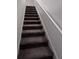 Carpeted stairs with a white handrail at 6942 Ripple Pond Loop, Zephyrhills, FL 33541