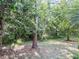 Large wooded backyard providing shade and privacy for entertaining or recreation at 7704 Tuscany Woods Dr, Tampa, FL 33647