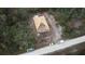 Aerial view of home under construction shows roof framing and a wooded lot at 8149 Cashew, Webster, FL 33597