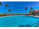 Community swimming pool with lounge chairs, palm trees, and buildings in the background under a clear blue sky at 9304 Lake Chase Island Way, Tampa, FL 33626