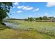 Scenic lake view showcasing the natural beauty and tranquility of the waterfront location at 9727 Tiffany Oaks Ln, Tampa, FL 33612
