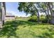 Green backyard with a fence and mature trees, offering privacy and space at 10016 Oxford Chapel Dr, Tampa, FL 33647
