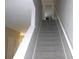Carpeted staircase with white handrail leading to the upper level of the home at 11622 Declaration Dr, Tampa, FL 33635