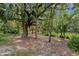 A verdant yard is landscaped with native plant species and abundant mature shade trees overhead at 15314 Sherwood Forest Dr, Tampa, FL 33647