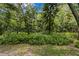 A lush green backyard is abundant with ferns and native vegetation that borders the entire perimeter at 15314 Sherwood Forest Dr, Tampa, FL 33647