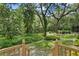 Lush backyard featuring native landscaping, mature trees, and natural views at 15314 Sherwood Forest Dr, Tampa, FL 33647