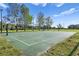 Outdoor basketball court with well-maintained green surface and white lines, ready for a game at 15314 Sherwood Forest Dr, Tampa, FL 33647