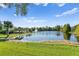 Picturesque community pond with fountain surrounded by lush green lawn, mature trees, and palm trees at 15314 Sherwood Forest Dr, Tampa, FL 33647
