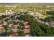 Aerial view of home, community, surrounding wooded area, and waterways at 17812 Arbor Greene Dr, Tampa, FL 33647