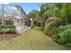 Landscaped backyard featuring lush green grass, mature trees, and serene surroundings at 17812 Arbor Greene Dr, Tampa, FL 33647